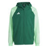 Adidas Tiro 23 Competition All Weather Jacket - Team Dark Green / Beam Green