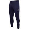 Puma teamLIGA Training Pants - Peacoat