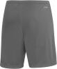 Adidas Entrada 22 Shorts - Team Grey Four