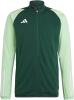 Adidas Tiro 23 Competition Training Jacket - Team Dark Green / Beam Green