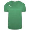 Puma teamLIGA Jersey - Pepper Green