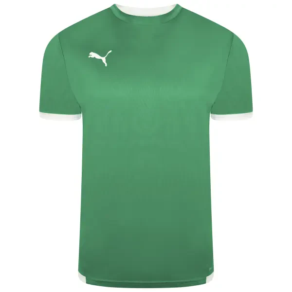 Puma teamLIGA Jersey - Pepper Green