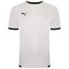 Puma teamLIGA Jersey - Puma White