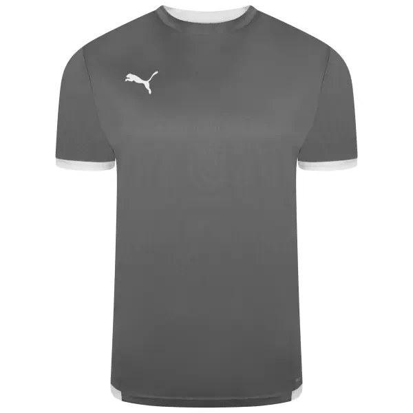 Puma teamLIGA Jersey - Smoked Pearl