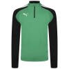 Puma teamLIGA Training 1/4 Zip - Pepper Green/Puma Black