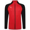 Puma teamLIGA Training Full Zip Training Jacket - Puma Red/Puma Black