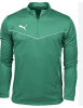 Puma Team Rise 1/4 Zip - Pepper Green / Puma White