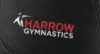 Harrow Gymnastics Club - Printed Badge/ Bag (Included)